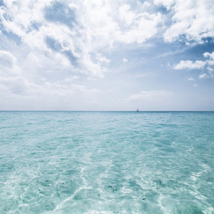 黑色girl舞姿娜娜最新一期
